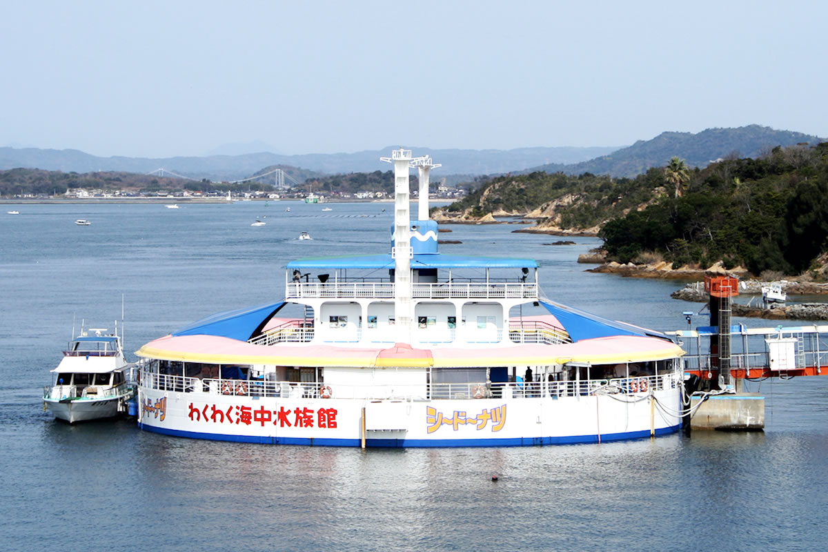 海中水族館シードーナツ